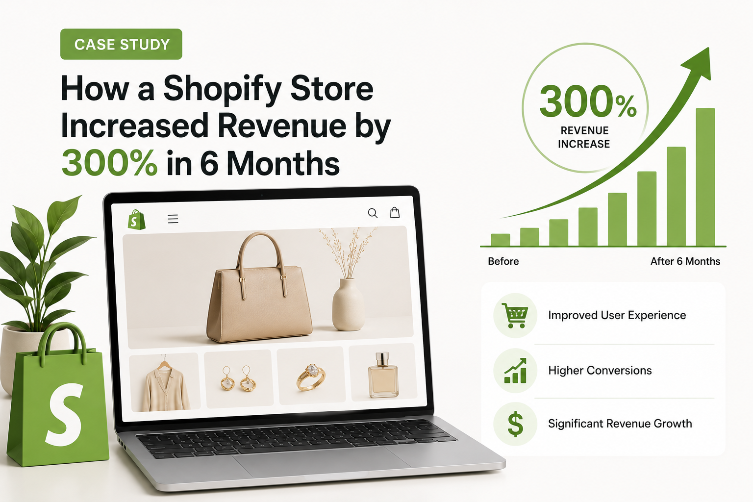 Shopify 300% Case Study