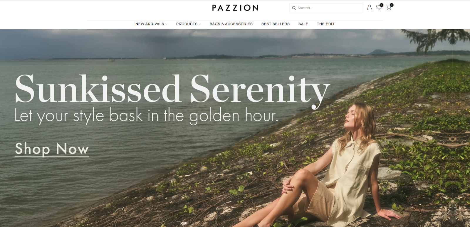 pazzion india